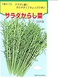 サラダからし菜　トキタ種苗の種です