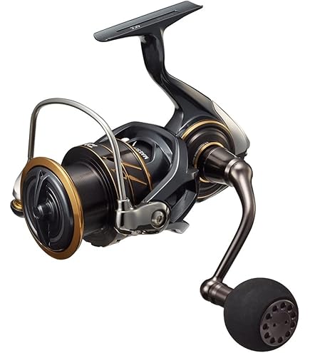 Amazon | ダイワ(DAIWA) 純正パーツ 22 カルディア SW 6000S-H