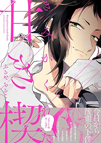 『きみがくれた甘き楔』