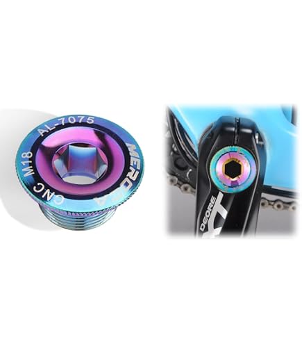Amazon | Campagnolo(カンパニョーロ) レコードピストクランク ダスト
