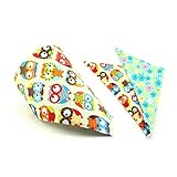 GOGO Fancy Triangle Bibs For Baby Boy & Girl, Cotton, One Piece-Owl