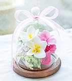 プリザーブドフラワー ガラスドーム ギフト (プルメリアピンク) ガラスの森～プルメリアの雫～