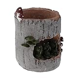 Fenteer 耐久性　樹脂　フラワーポット　盆栽　多肉　ボックス　プランター　　装飾　トラフ　プラント　鉢　