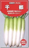 ダイコン種子・千都（せんと）（10ｍｌ）大根