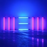 New [12 inch Analog]