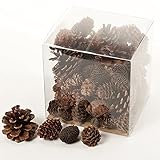 東京堂 クリスマス コーンミックス (100コ入り) XM002272