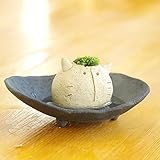苔盆栽 モスモス モスネコ（白・ベージュ系）・ 受け皿（黒・グレー系）セット