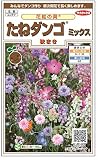 【種子】 たねダンゴ　ミックス　花絵の具　秋まき サカタのタネ