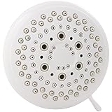 Waxman 8675210 9-Spray Distinctives Showerhead, White [並行輸入品]