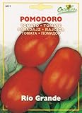 【HORTUS社種子】【Art.4631】イタリアントマト・リオグランデ