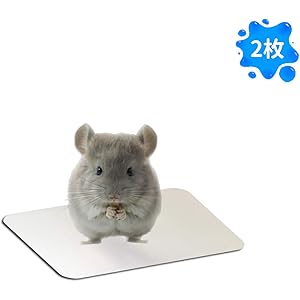 ハムスター用ひんやりプレート 涼感 アルミボード 2枚 クール 冷え冷え 冷感 暑さ対策 夏用 熱中症対策 冷たい 小動物に適用 12*8cm