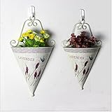 Dasukie 生け花 植物ポット 壁掛け ミニフラワーポット ガーデン用品