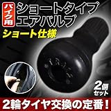 バイク用 ショートタイプエアバルブ チューブレスバルブ2個入り 2輪用