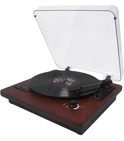 rsd3ミニレコードプレーヤー RSD3 Mini Turntable — One Groove Vinyl - One Off Lathe Cut