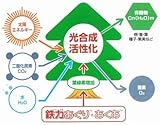 植物活性材　鉄力あくあF10　（2L）