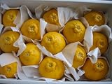 でこももえ