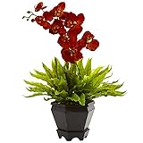 ほぼ自然1429-at Birds Nest Fern & OrchidシルクArrangementの木製プランター、I
