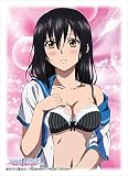 ブロッコリーキャラクタースリーブ ストライク・ザ・ブラッドIV「姫柊 雪菜」セクシーVer.