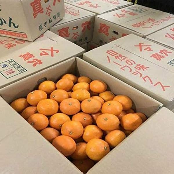 Amazon.co.jp: 愛媛西宇和 真穴みかん S/Mサイズ 約10kg お歳暮贈答用