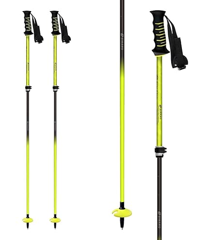 Amazon | レキ（LEKI） スキーポール NEOLITE VARIO CARBON 653 38781
