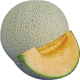 【メール便配送】　国華園　野菜たね　メロン　F1グランジュ　1袋(8粒)【※発送が国華園からの場合のみ正規品です】