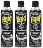 Raid Wasp & Hornet Killer 33スプレー、414ml