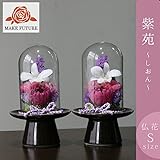 仏花　仏壇花　献花　法事　お悔やみ　プリザーブドフラワー　紫苑　ガラスドーム付き (Ｓ-2個セット)