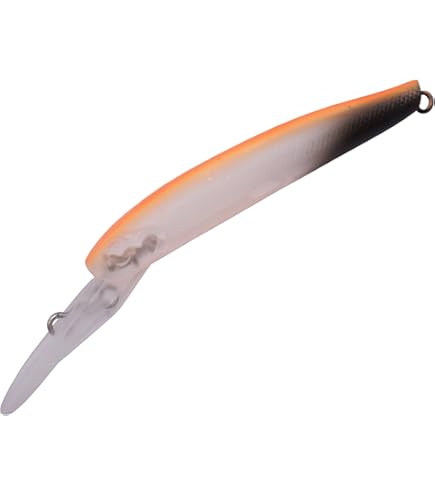 Amazon.co.jp: DAYSPROUT ディスプラウト イーグルプレーヤー 50スリム