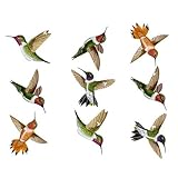Wild Life Animals Wall Sticker Mural Hummingbirds, Small [並行輸入品]