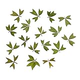 Homyl DIY　工芸　10個　プレス　乾燥　ドライ　フラワー　ドライリーフ　全4種 - 01