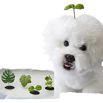 Amazon | FUNETO犬 猫 髪飾りアクセサリー 犬用 ヘアクリップ ヘアピン