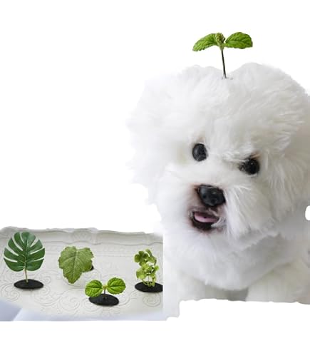 Amazon | FUNETO犬 猫 髪飾りアクセサリー 犬用 ヘアクリップ ヘアピン