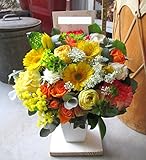 ＴＶチャンピオン出場【今旬フラワーアレンジメント5,500円 ナチュラル 黄色・オレンジ系】誕生日 花　誕生日 プレゼント 女性 フラワーアレンジメント 開業開店祝い 花 劇場 楽屋花 ギフト お見舞