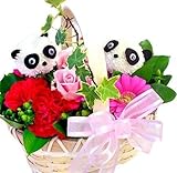 花由 アニマル*生花 フラワーアレンジメント<Mサイズ>パンダさん