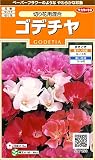 サカタのタネ 実咲花7190 ゴデチヤ 切り花用混合 10袋セット