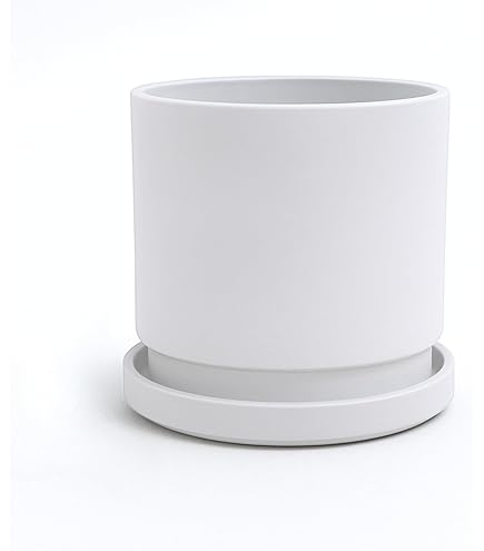 Amazon.co.jp: Ekirlin 植木鉢 陶器鉢 大型 9号 23cm 受け皿付き 穴