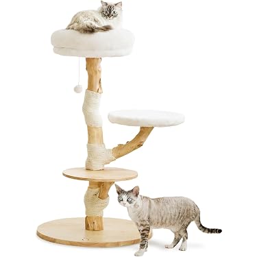 Amazon.co.jp 最新リリース: キャットタワー の新着ランキングです。