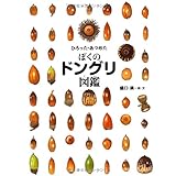 ひろった・あつめた ぼくのドングリ図鑑 (ちしきのぽけっと12)