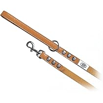 Amazon | BBアクセントレザーナイロンリード・ブルー・BUDDYBELT