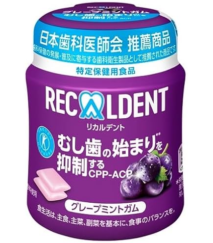 リカルデントガム ぶどう味 100本賞味期限2026年8月まで リカルデントガム ぶどう味 100本賞味期限2026年8月まで