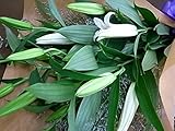 ユリの花束 生花 【白・ピンク・ミックス】４束まで１個分の送料です。お届けのご希望日時は注文日から５日～20営業日で必ずご指定ください。 (ピンクユリ・手提げ袋１枚付)