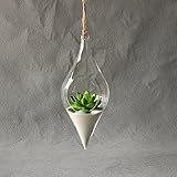 Kicode ハンギングガラス花瓶 テラリウム水耕植物の花 クリアコンテナ 屋内オフィスクリエイティブ 室内装飾