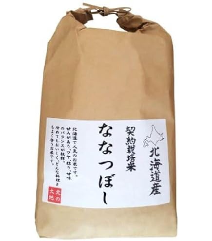 北海道産 令和6年産 おぼろづき 白米 精米 お米 5kg 2袋 令和6年産 北海道産 おぼろづき 精米 お試しパック 450g (3合) メール