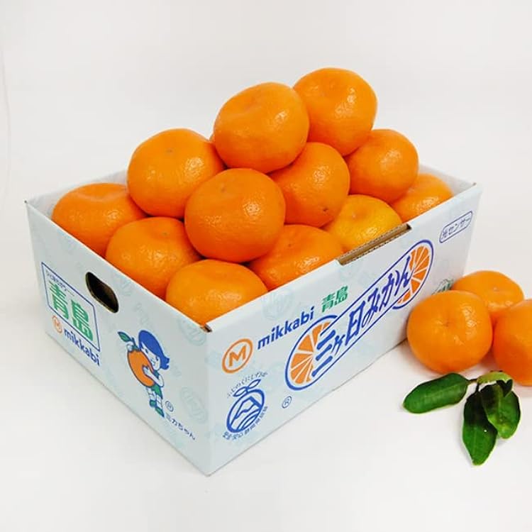 みかん11/4〜16出荷不可 様 ご購入予定品 お歳暮 ギフト】愛媛県 JAにしうわ 川上共選 最高等級みかん「味ピカ