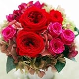 【Eclaire Flower Design】プリザーブドフラワー　フランボワーズ