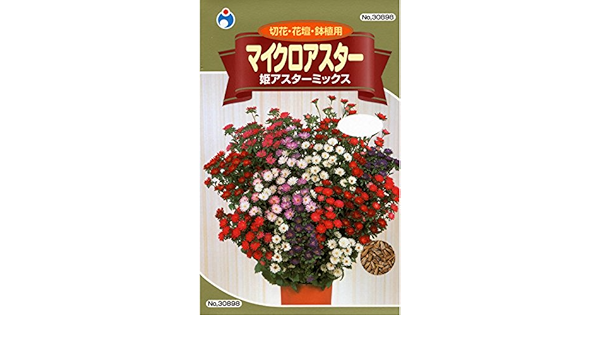 Amazon マイクロアスター 姫アスターミックス アスター種子 花