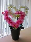 光触媒　胡蝶蘭ハート（ダブル）大（白黄・ピンク）ハートの形のアートフラワー（造花）でとってもキュートです。贈り物・母の日・新築祝・開店祝・誕生日・記念日・卒業式・入学式・ギフトに