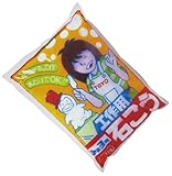 トーヨー 石膏1kg