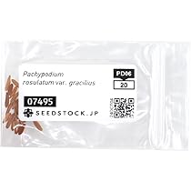 51bKD9jQnoL._AC_UL210_SR210,