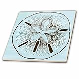 3dRose ct_99317_1 Blue and Brown Sand Dollar Shells Beach Theme Art Ceramic Tile, 4-Inch [並行輸入品]